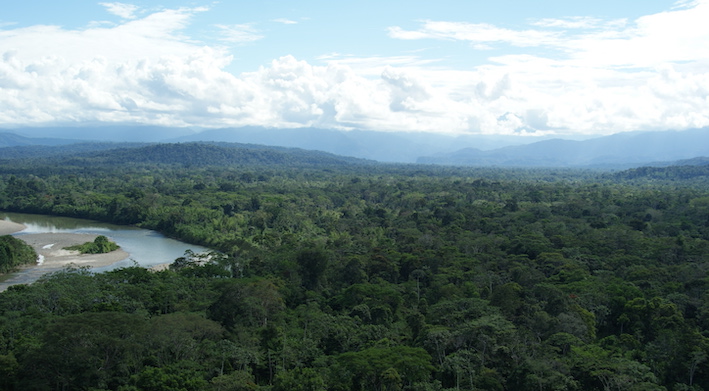 ecuadorian amazon