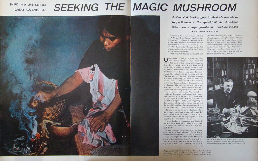 Článek v časopise Life hledající kouzelnou houbu s fotografiemi Marie Sabiny a R. Gordona Wassona