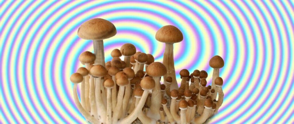 magic mushrooms on swirl background