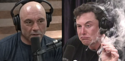 joe rogan and elon musk