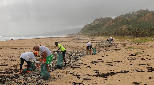 people cleaning trash off a beach